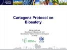 Cartagena Protocol - SCBD