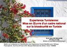 Tunis Experience