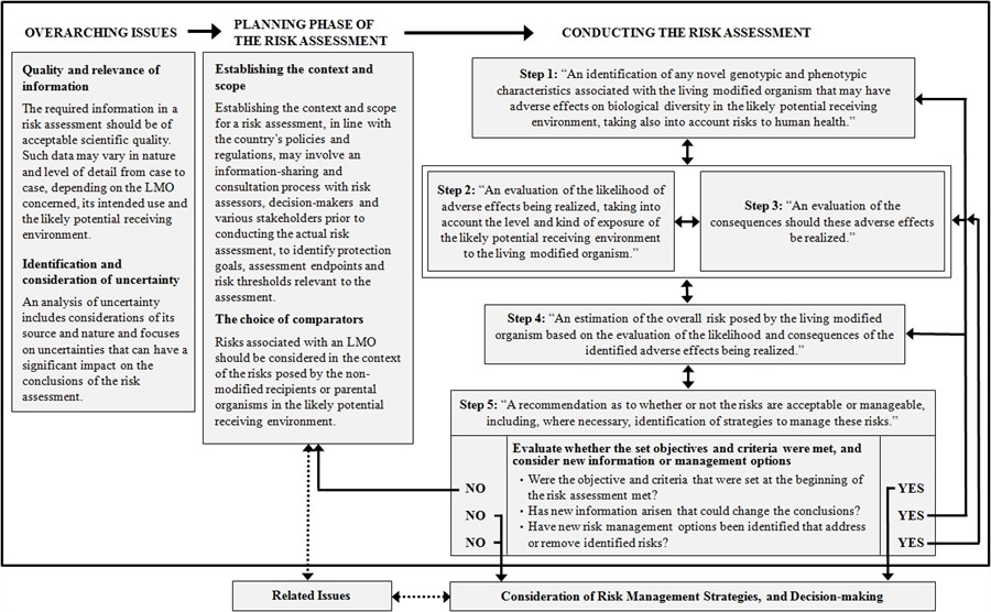 manual handling assessment form template manual handling risk assessment 4 shed risk saturday club manual handling assessment form template manual handling risk assessment 4 shed risk saturday club