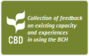Collection of feedback on existing capacity and experiences in using the BCH