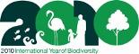 IYB 2010 Website