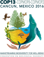 COP 13 & COP-MOP8 logo