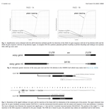 Amplification curve.png