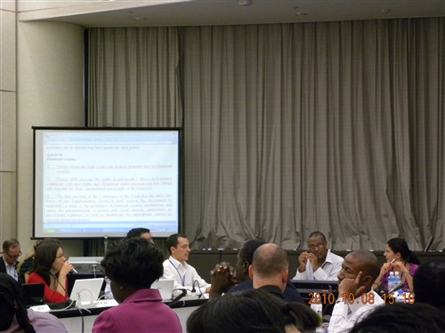 The fourth meeting of the Group of the Friends of the Co-Chairs on Liability and Redress in the context of the Cartagena Protocol on Biosafety 