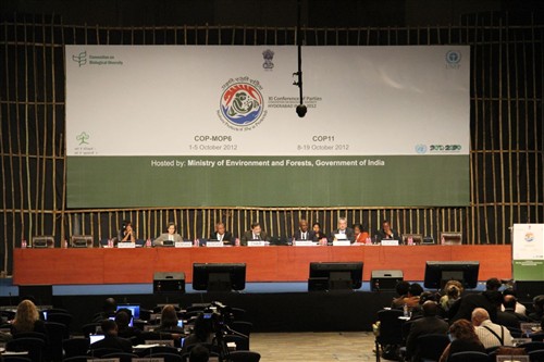 COP-MOP 6 - Opening Ministry of Environment and Forests, Government of India