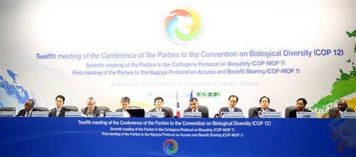 Opening of COP-MOP 7 IISD (http://www.iisd.ca/biodiv/bs-copmop7/29sep.html)