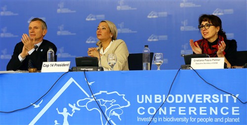 Opening of the UN Biodiversity Conference, including COP-MOP 9 IISD/ENB (http://enb.iisd.org/biodiv/cop14/enb/images/17nov/3dais_CBD_1243.jpg)