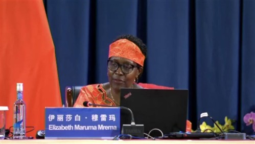 Ms. Elizabeth Maruma Mrema, Executive Secretary of the Convention on Biological Diversity IISD/ENB