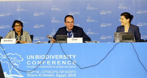 Working Group I of the UN Biodiversity Conference, COP-MOP 9 