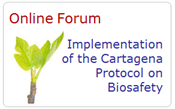 Online Forum on Implementation of the Cartagena Protocol