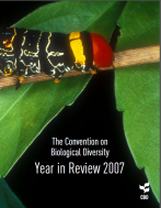 Year in Review 2007