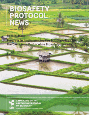 Biosafety Protocol Newsletter no. 12