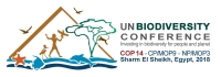 COP 14 & COP-MOP9 logo
